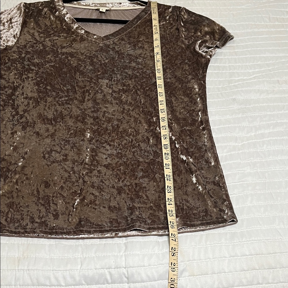 POL Crushed Velvet V-Neck Tee in Metallic Deep Beige - Picture 5 of 5